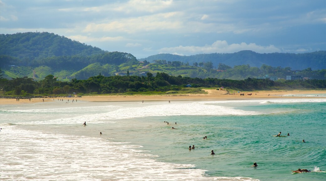 Coffs Harbour showing a sandy beach and swimming as well as a large group of people