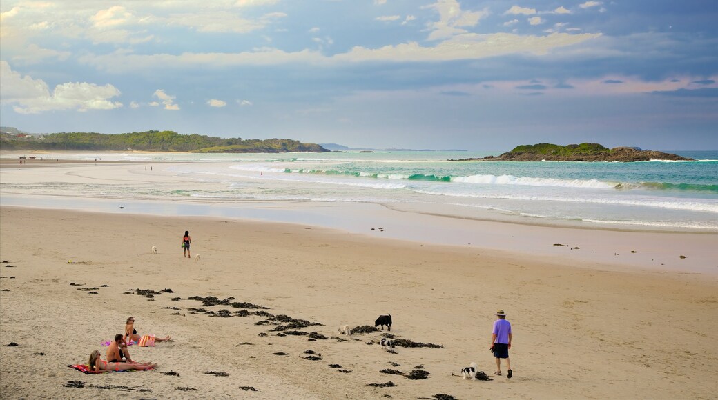 Coffs Harbour which includes a sandy beach as well as a small group of people