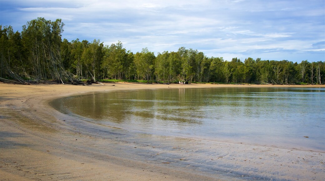 Batemans Bay which includes forests, a sandy beach and a bay or harbour