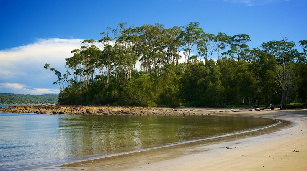 Batemans Bay showing tranquil scenes, a sandy beach and a bay or harbour