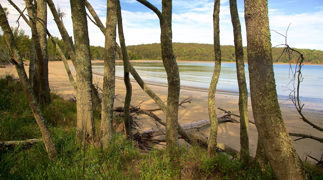 Reserva natural Cullendulla Creek