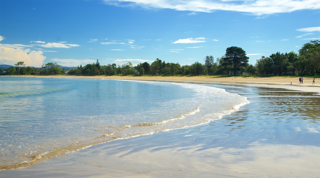 Batemans Bay som visar en hamn eller havsbukt och en strand