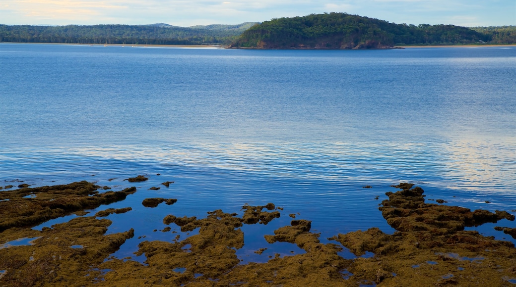 Batemans Bay showing rugged coastline and island images