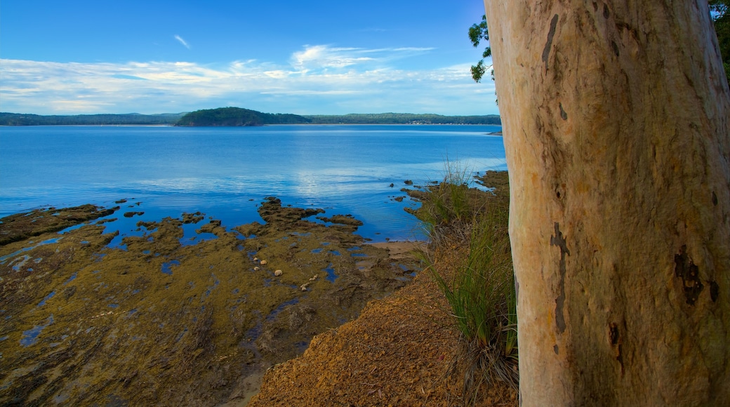 Batemans Bay showing rugged coastline