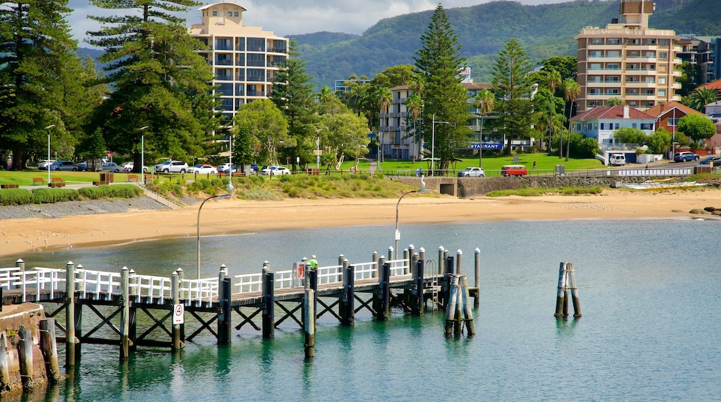 Wollongong ofreciendo una ciudad costera, una playa de arena y una bahía o puerto