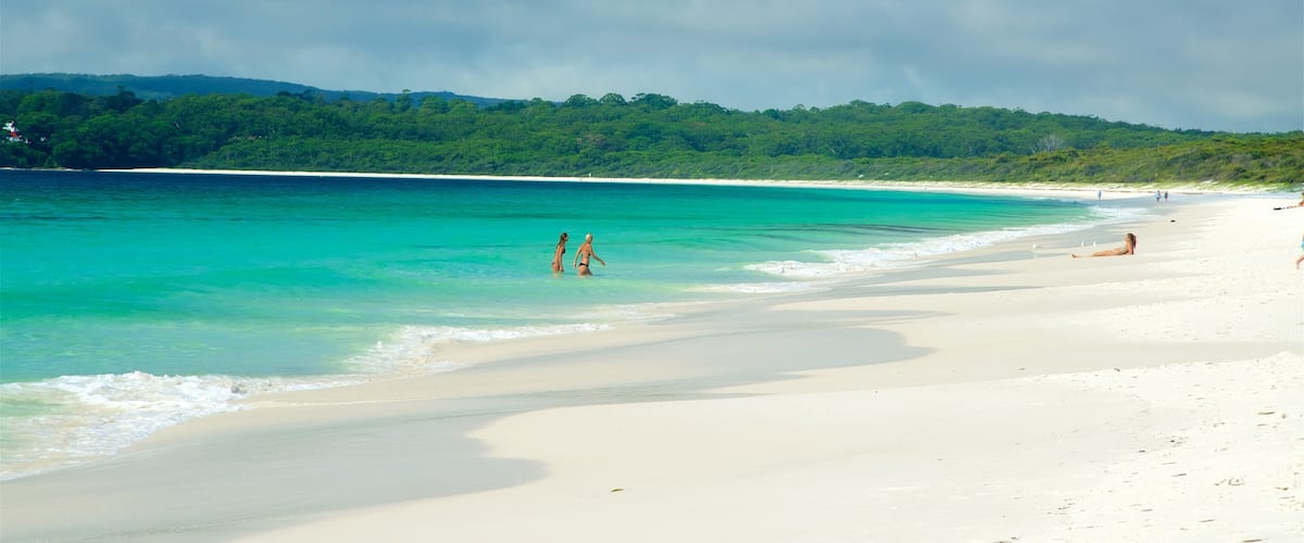 Huskisson showing general coastal views and a sandy beach as well as a small group of people