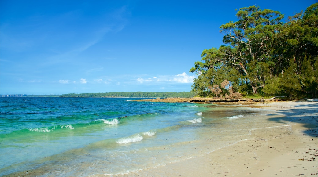 Spiaggia di Green Patch