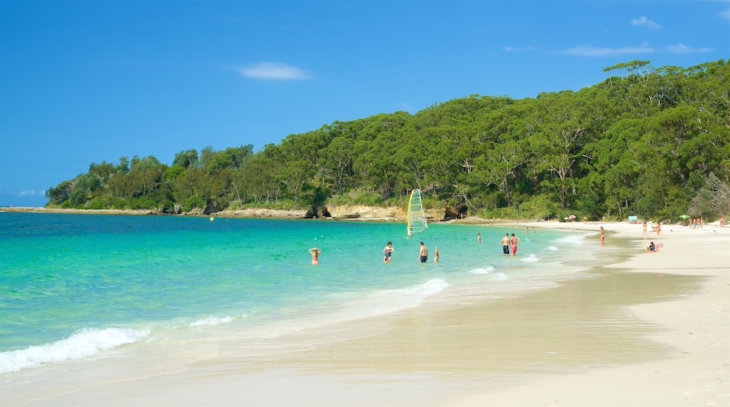 Murrays Beach showing general coastal views, tropical scenes and a beach