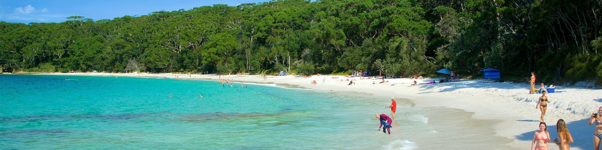 Sanctuary Point which includes a beach as well as a small group of people