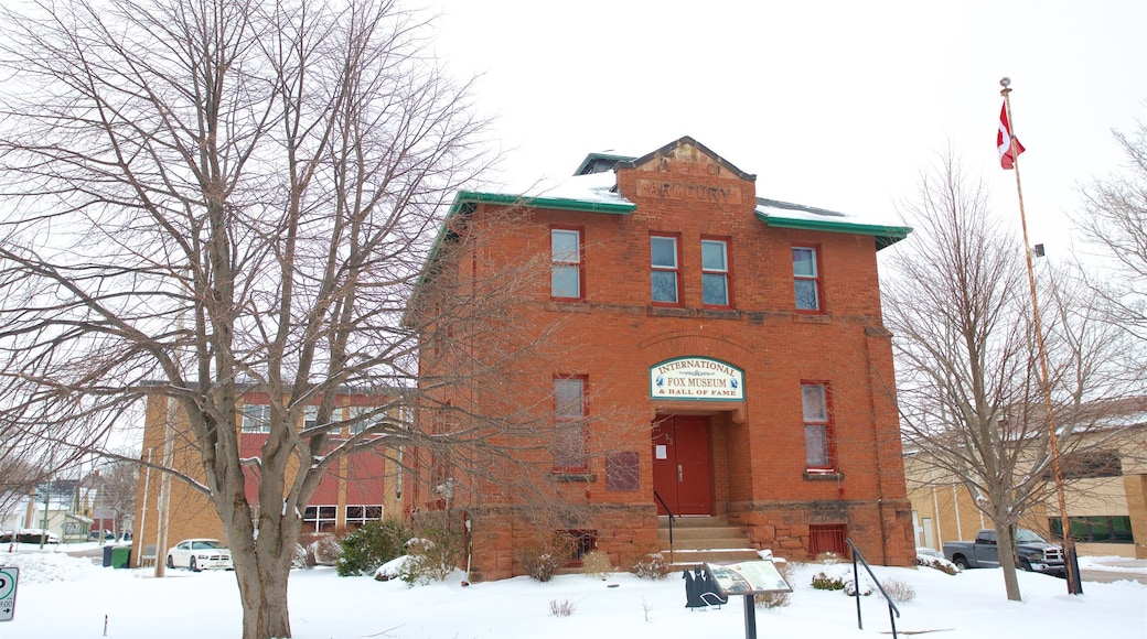 International Fox Museum and Hall of Fame toont sneeuw