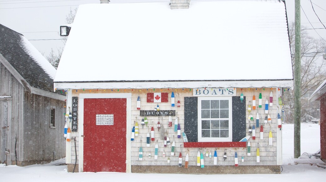 North Rustico ofreciendo nieve