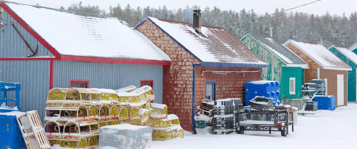North Rustico mostrando neve