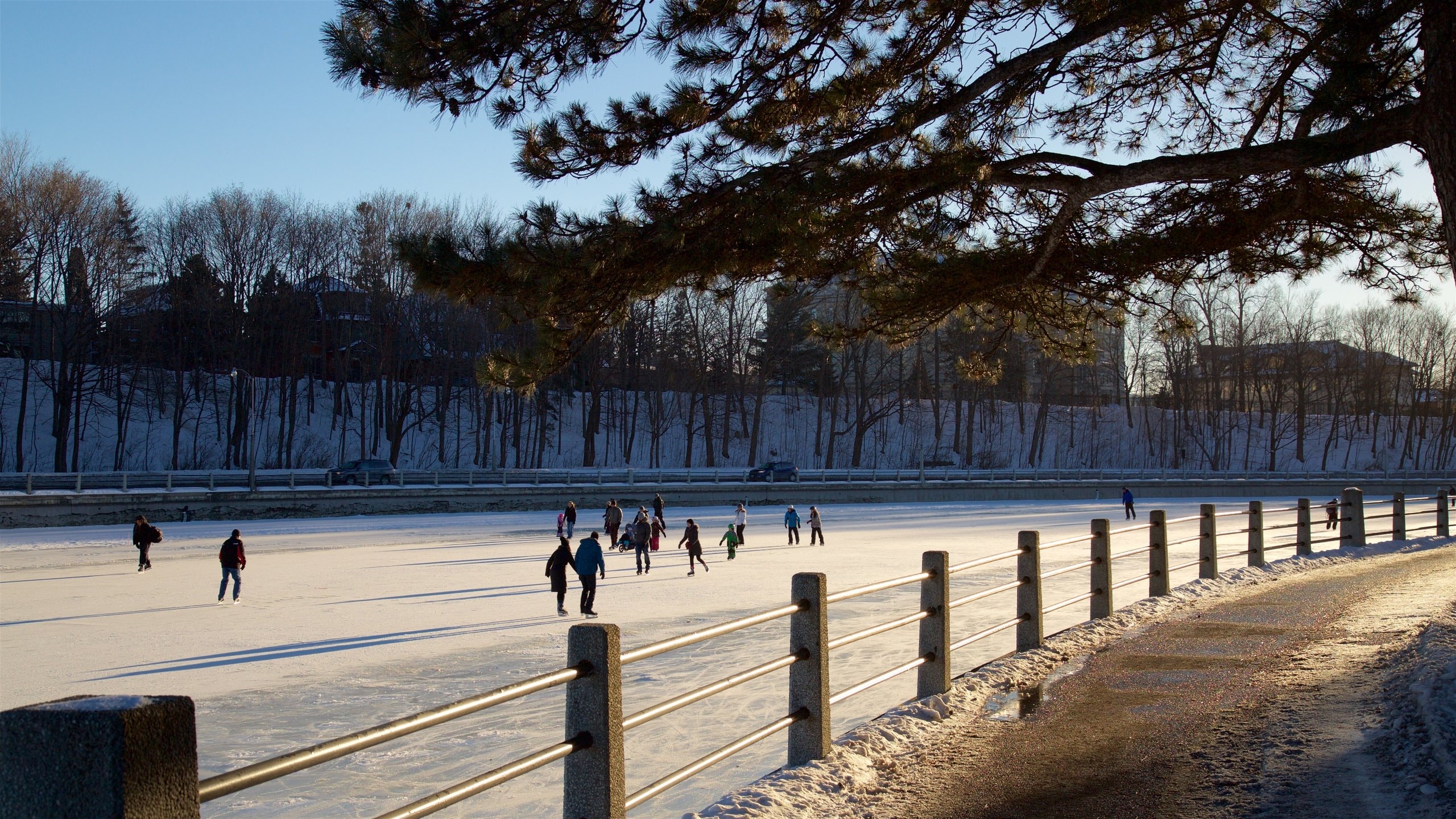 Rideau Canal fasiliteter samt snø og skikjøring i tillegg til en stor gruppe med mennesker