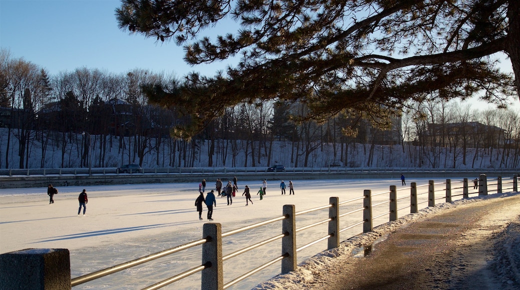 Rideau Canal featuring snow skiing and snow as well as a large group of people