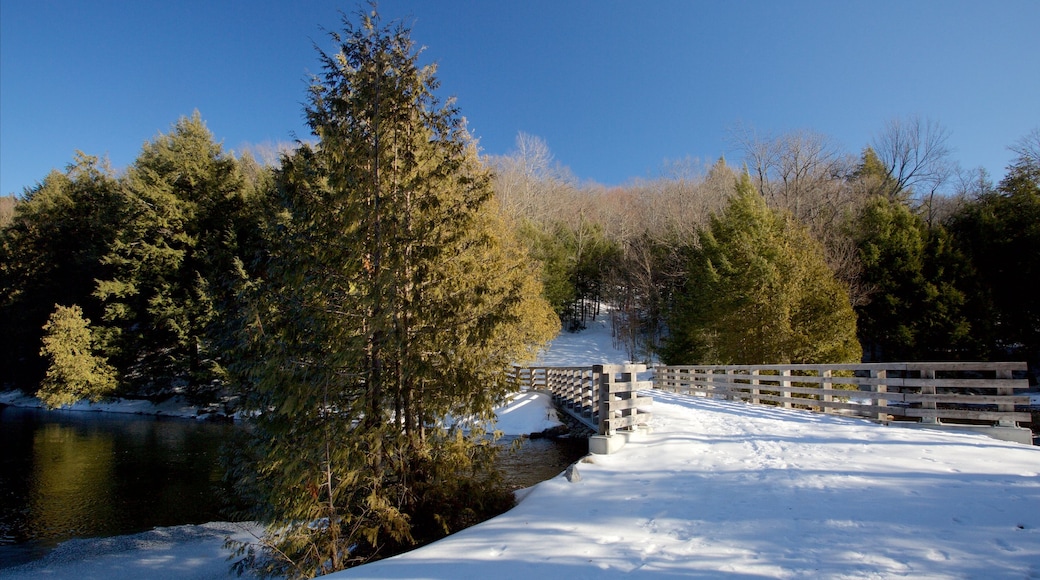 Gatineau Park que inclui uma ponte e neve