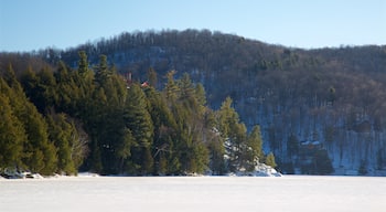 Gatineau featuring tranquil scenes and snow