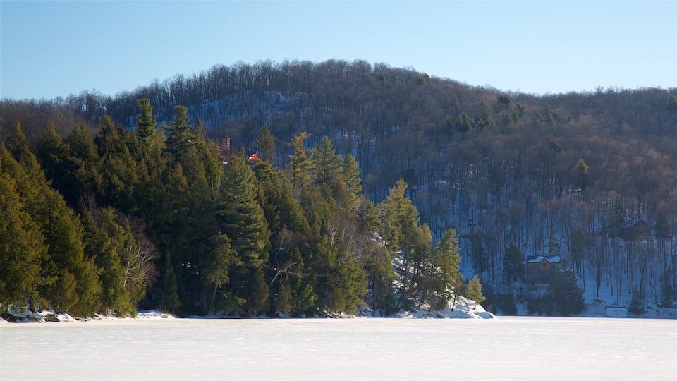 Gatineau featuring tranquil scenes and snow