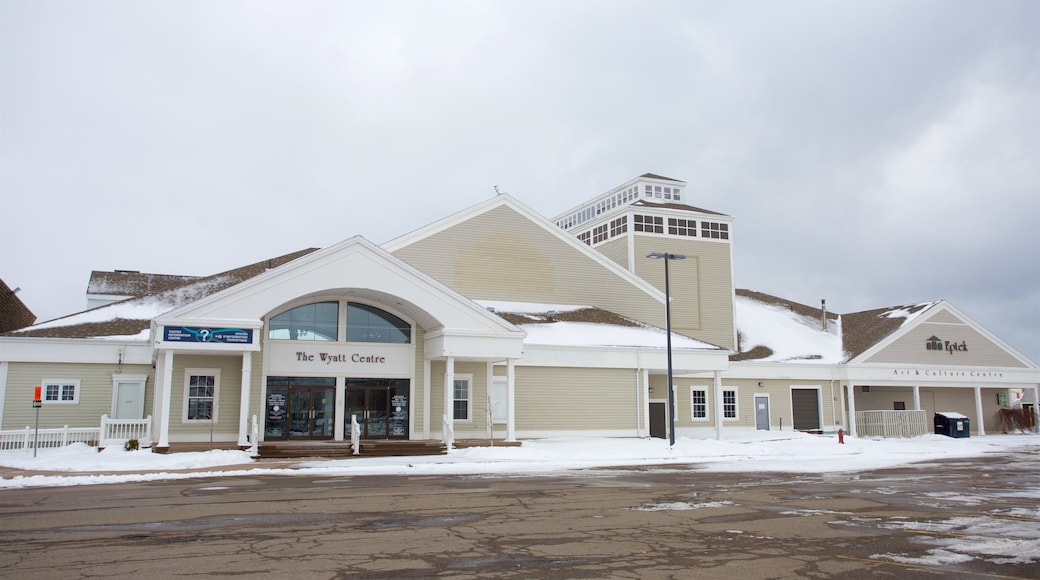 Eptek Art and Culture Centre featuring snow