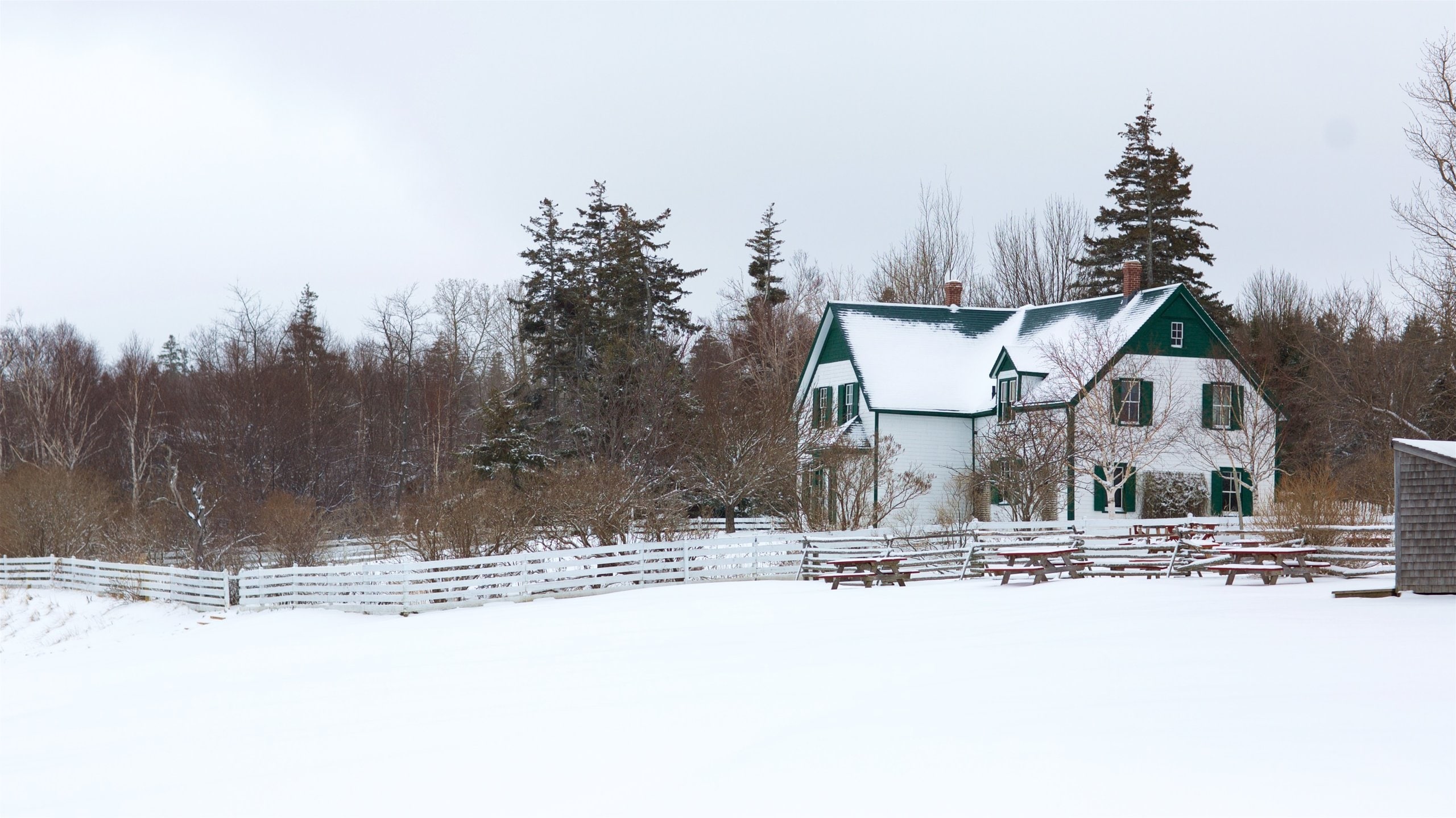 Top 20 Cavendish, PE cabin rentals to rent Vrbo