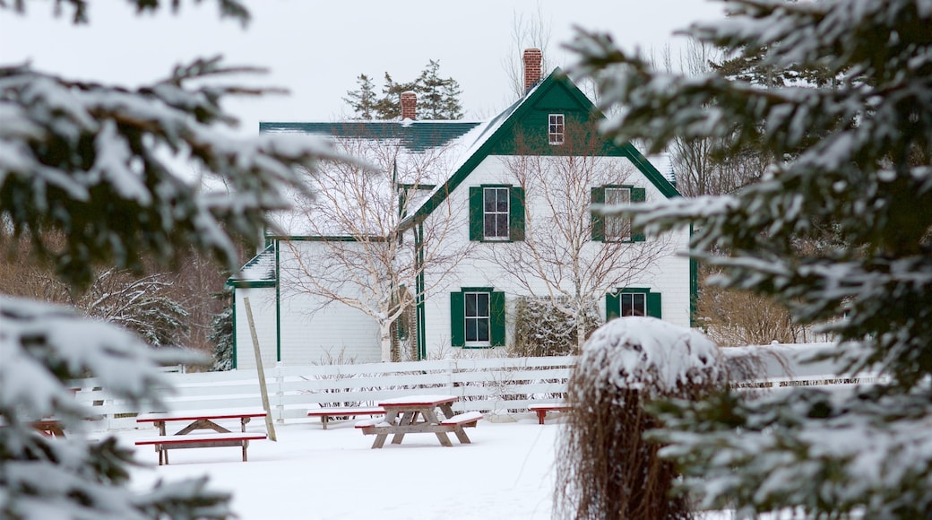 Cavendish showing a house and snow