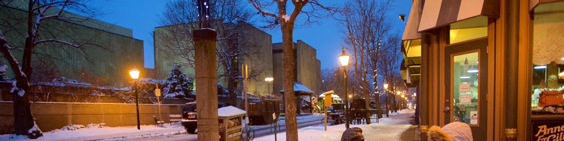 Charlottetown montrant art extérieur et scÚnes de rue aussi bien que une femme seule