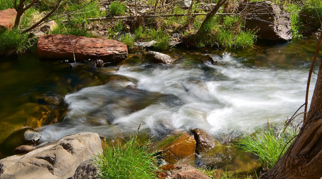 Oak Creek Canyon inclusief een rivier of beek en bos