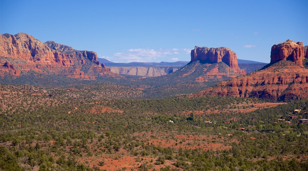 Sedona som inkluderar öknar, stillsam natur och en ravin eller kanjon