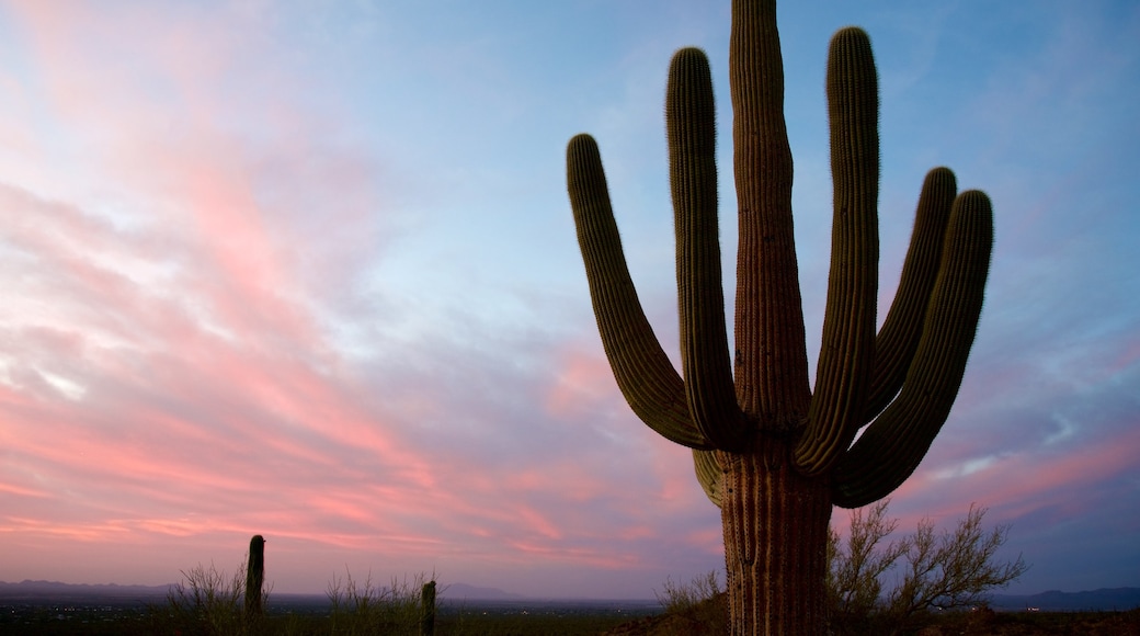 Southern Arizona