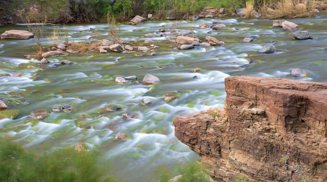 Central Arizona