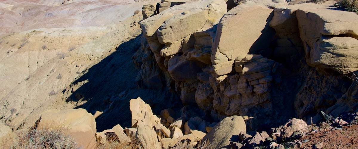 Petrified Forest National Park