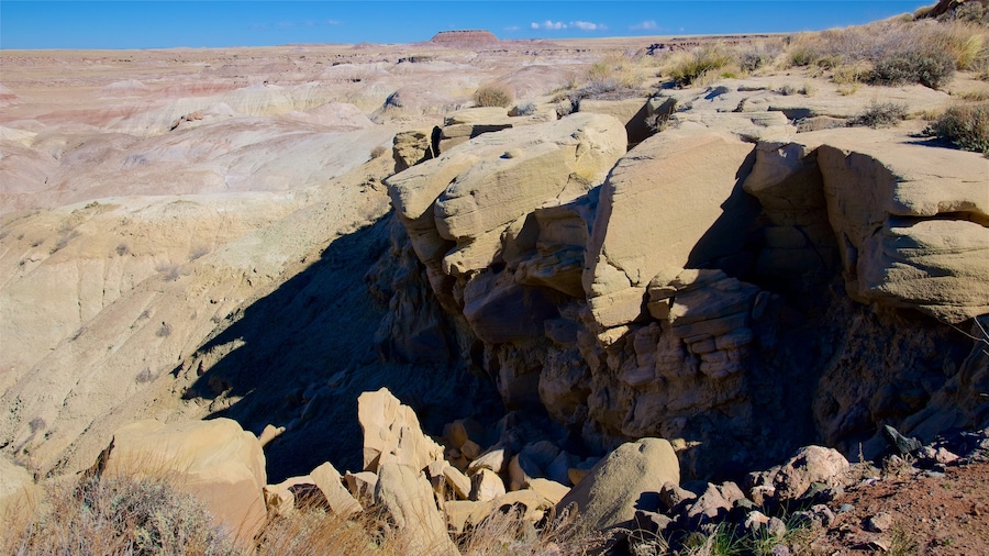 Petrified Forest National Park que incluye vistas panorámicas y paisajes desérticos