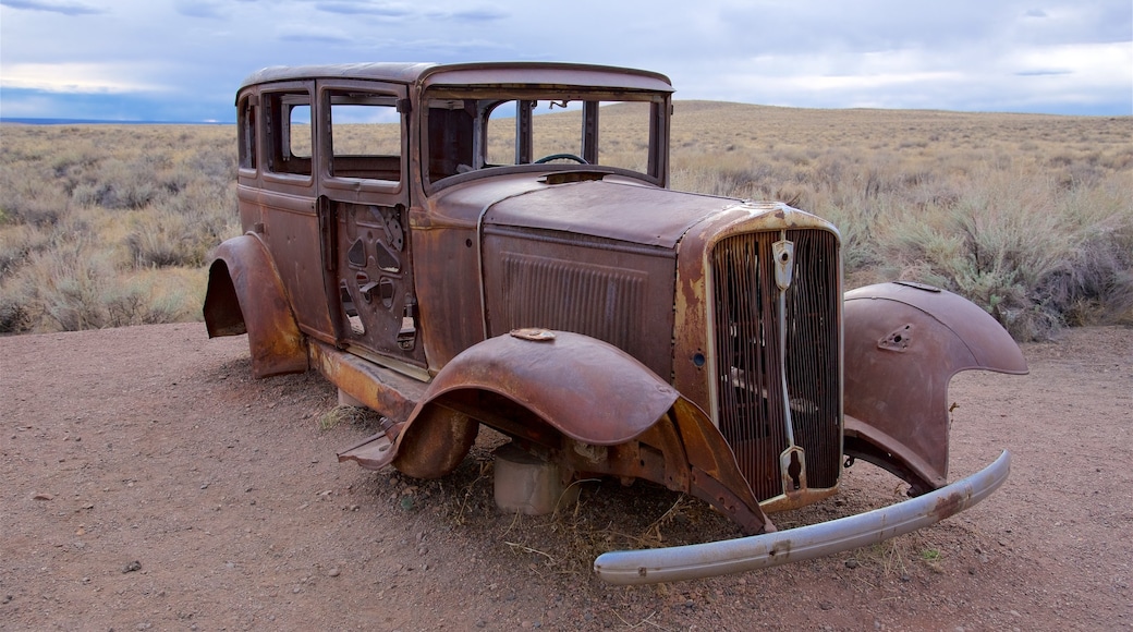 Petrified Forest National Park