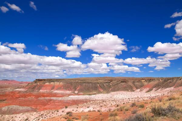 Petrified Forest National Park mit einem Landschaften und Wüstenblick