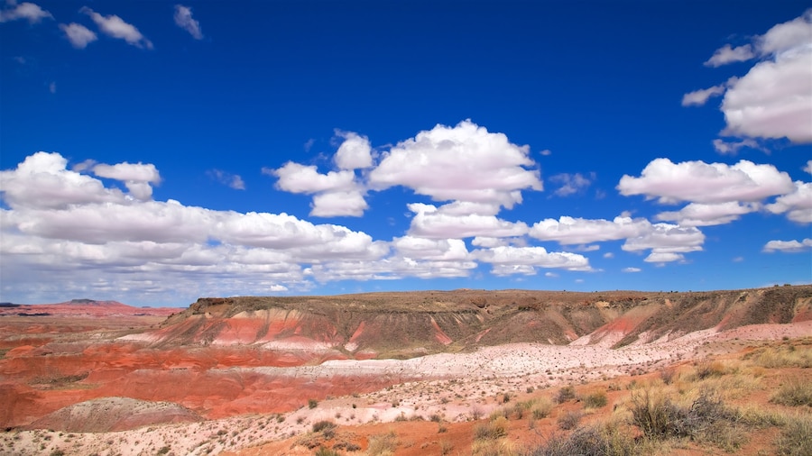 Petrified Forest National Park som omfatter udsigt over ørkenen og udsigt over landskaber