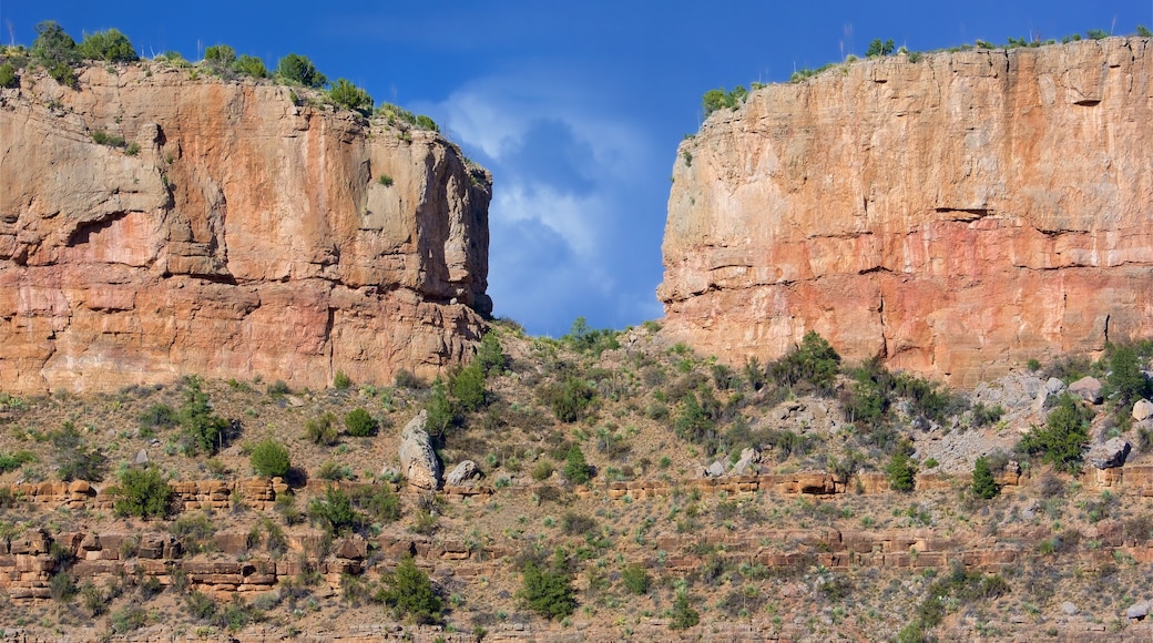 Arizona que incluye una garganta o cañón y montañas