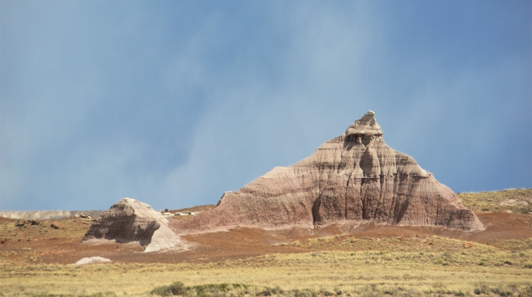 Petrified Forest National Park showing desert views