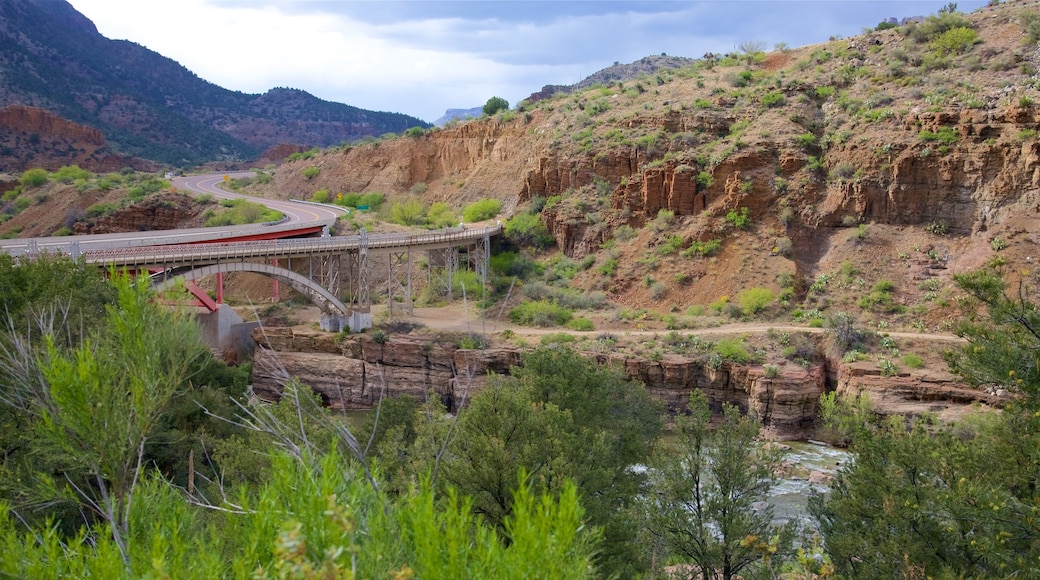 Região central de Arizona mostrando um desfiladeiro ou canyon e cenas tranquilas