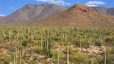 Oro Valley Location