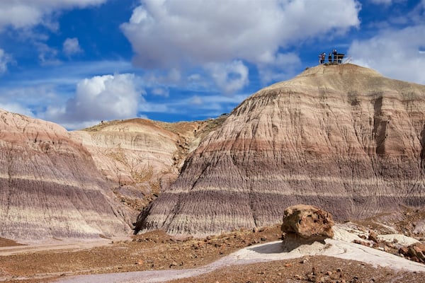 Petrified Forest National Park welches beinhaltet Wüstenblick und ruhige Szenerie