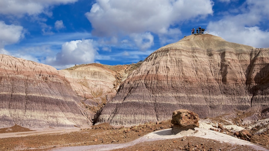 Petrified Forest National Park som omfatter udsigt over ørkenen og fredfyldte omgivelser
