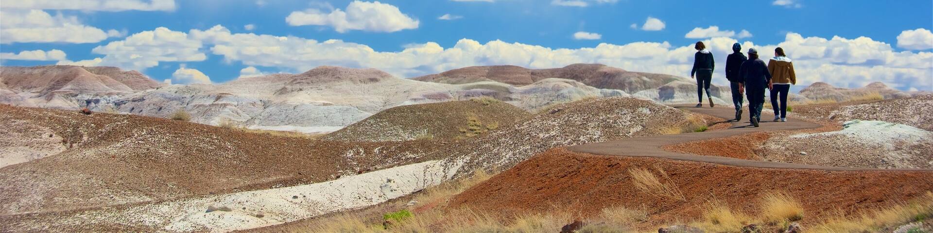 ペトリファイド フォレスト国定公園 表示 砂漠の眺め と 静かな風景 及び 少数の人々