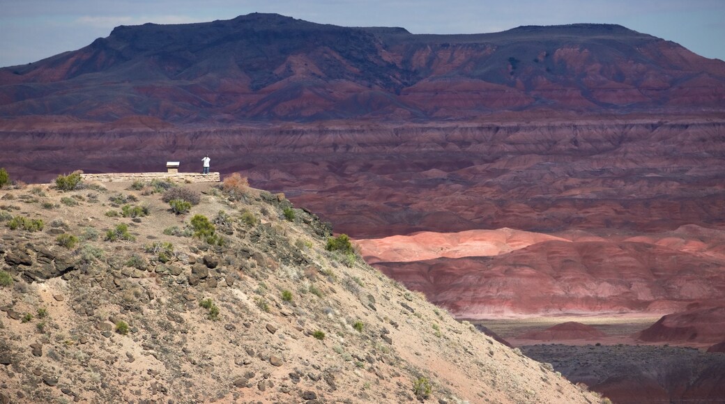 Petrified Forest National Park featuring desert views, views and tranquil scenes