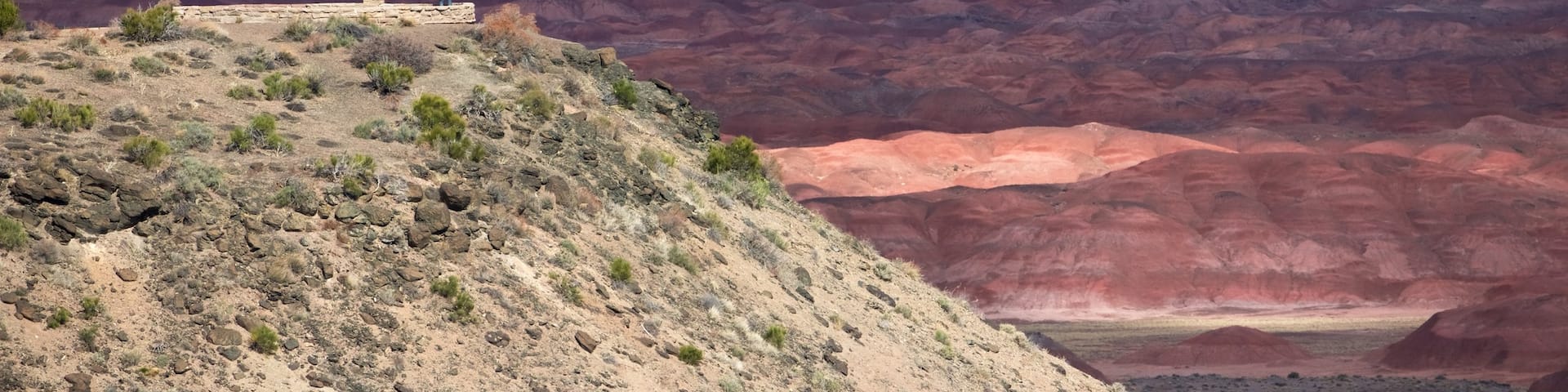 Petrified Forest National Park featuring desert views, tranquil scenes and views