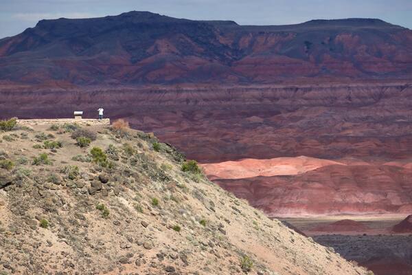Petrified Forest National Park das einen Wüstenblick, ruhige Szenerie und Ansichten