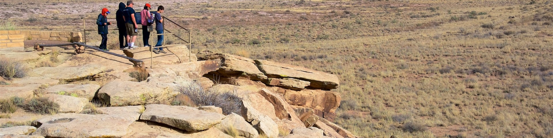 Petrified Forest National Park showing desert views and tranquil scenes as well as a small group of people