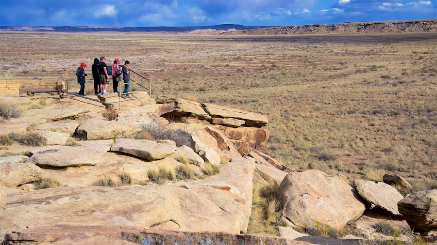Petrified Forest National Park som omfatter fredfyldte omgivelser og udsigt over ørkenen såvel som en lille gruppe mennesker