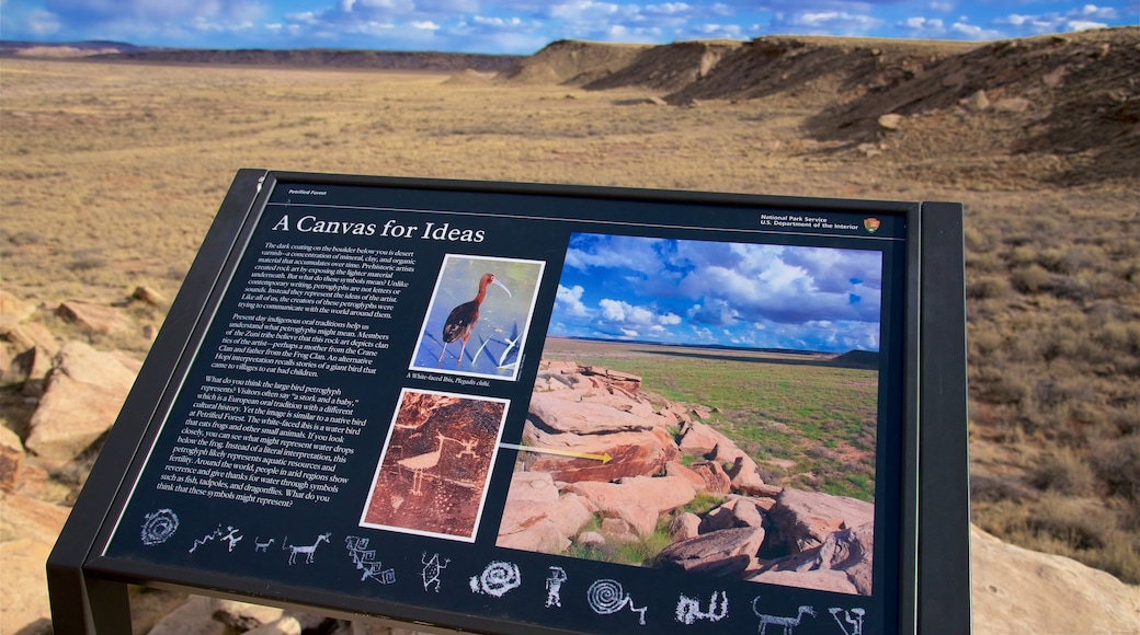 Petrified Forest National Park featuring signage, tranquil scenes and desert views