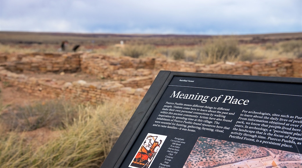 Petrified Forest National Park which includes tranquil scenes, a ruin and signage