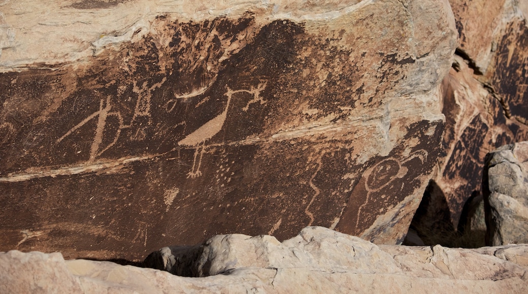 Petrified Forest National Park showing heritage elements, desert views and tranquil scenes