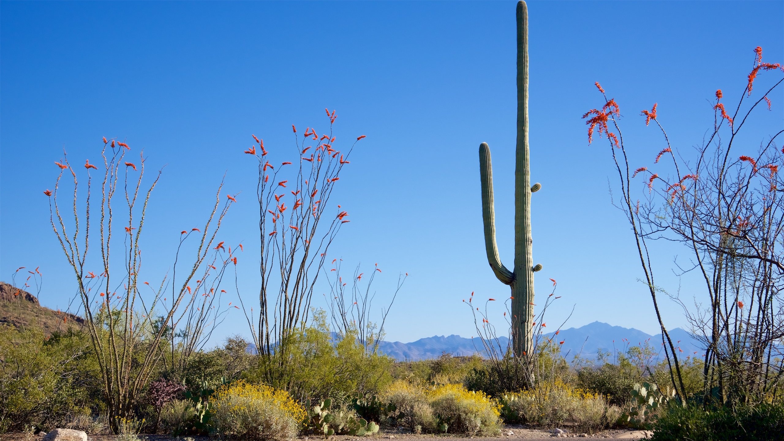 Freeman Homestead Trail Vacation Rentals hotel rentals & more Vrbo